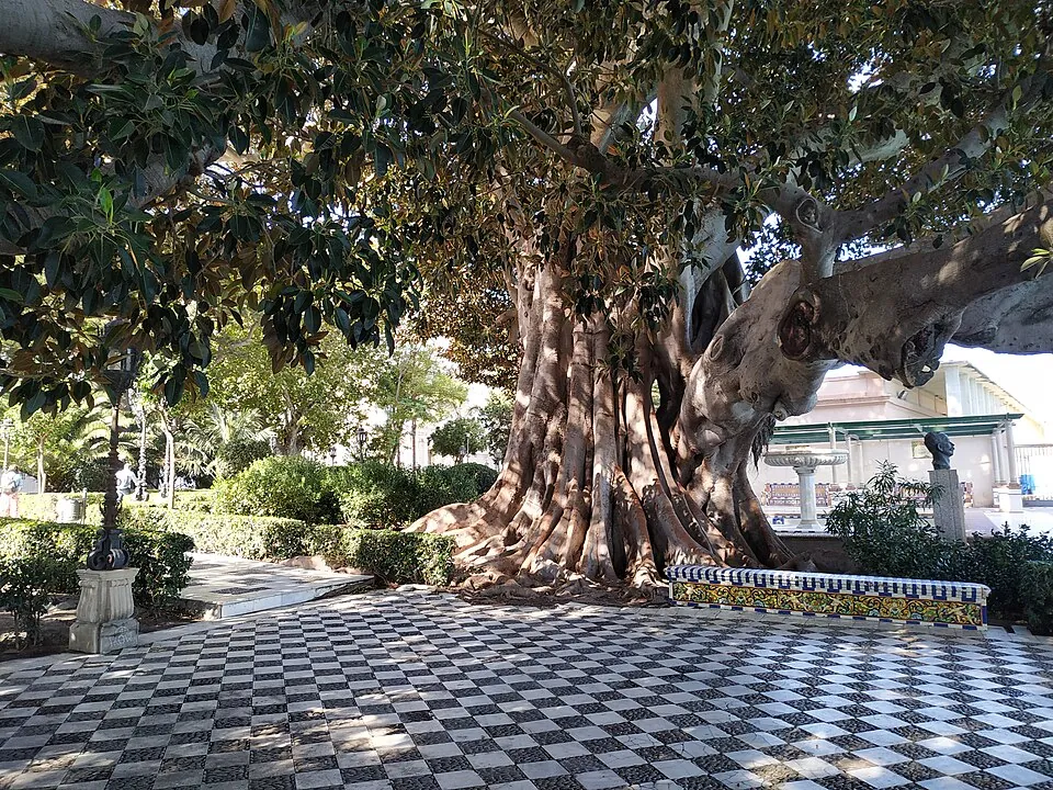 Alameda Apodaca Viewpoint and Promenade